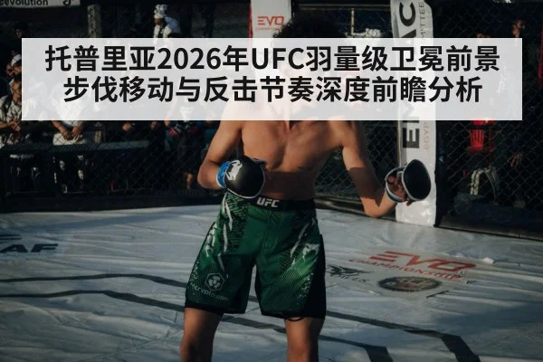 UFC octagon cage fight